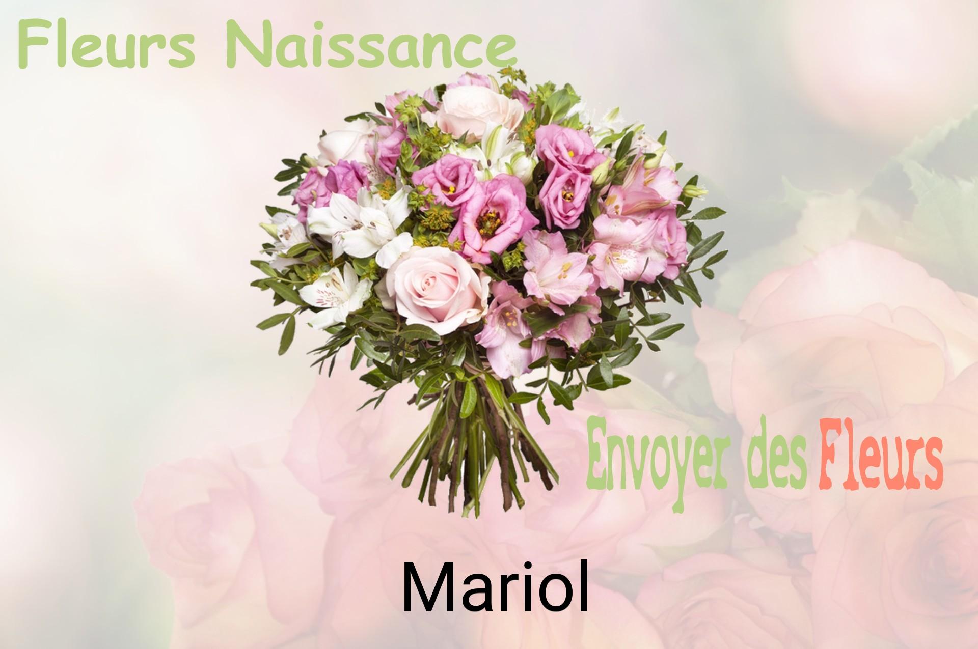 Bouquet de fleurs de naissance livré à Mariol